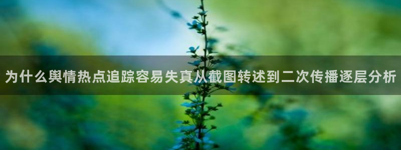 网络最新爆料