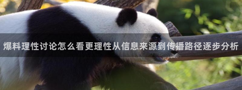 黑料爆料热点榜
